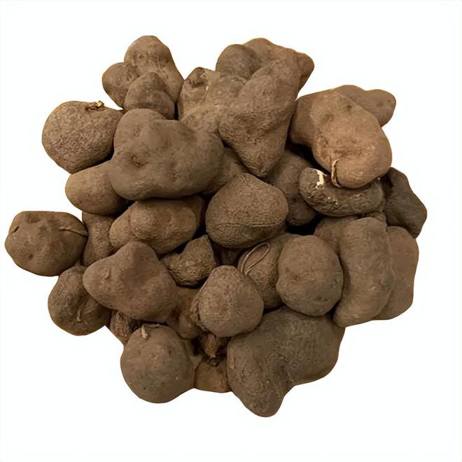 《本草纲目》故事：雷丸杀虫逐邪